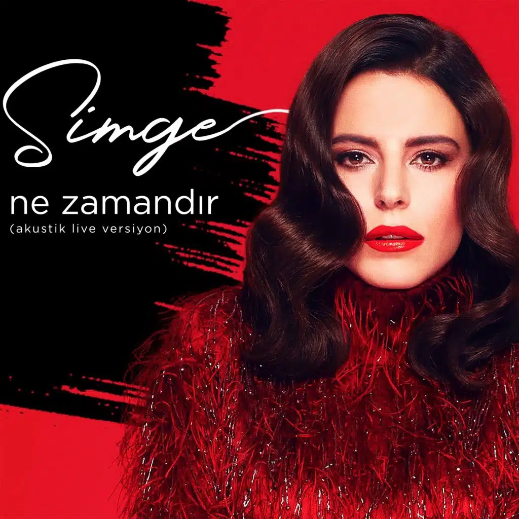 Ne Zamandır (Akustik Live)