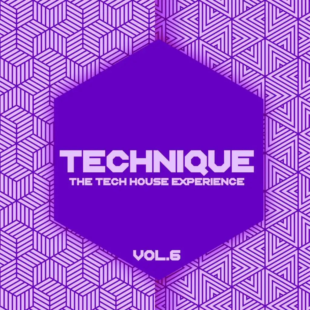 Technique, Vol. 6 (The Tech House Experience)