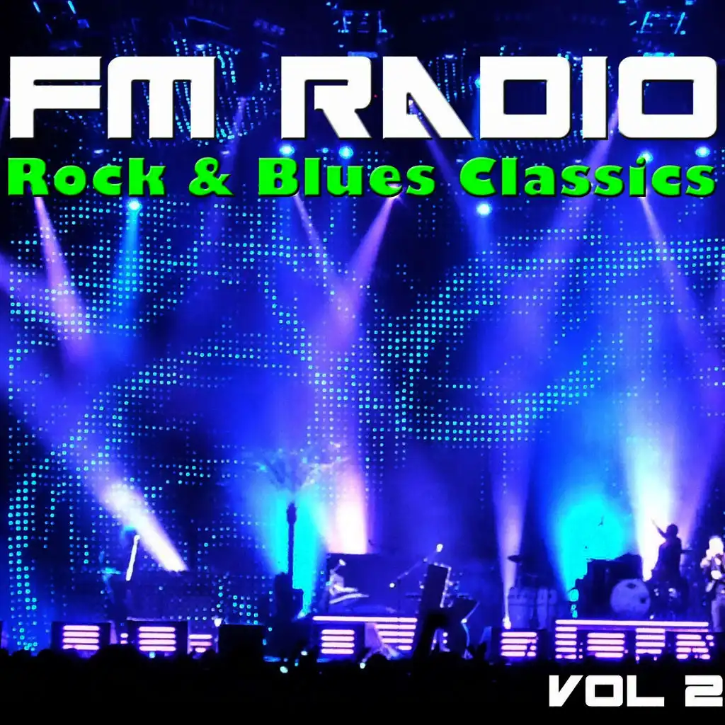 FM Radio Rock & Blues Classics, Vol 2