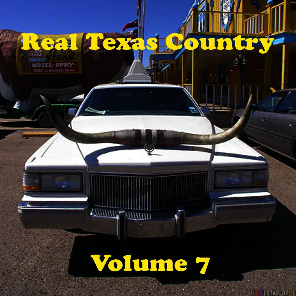 Real Texas Country Volume 7