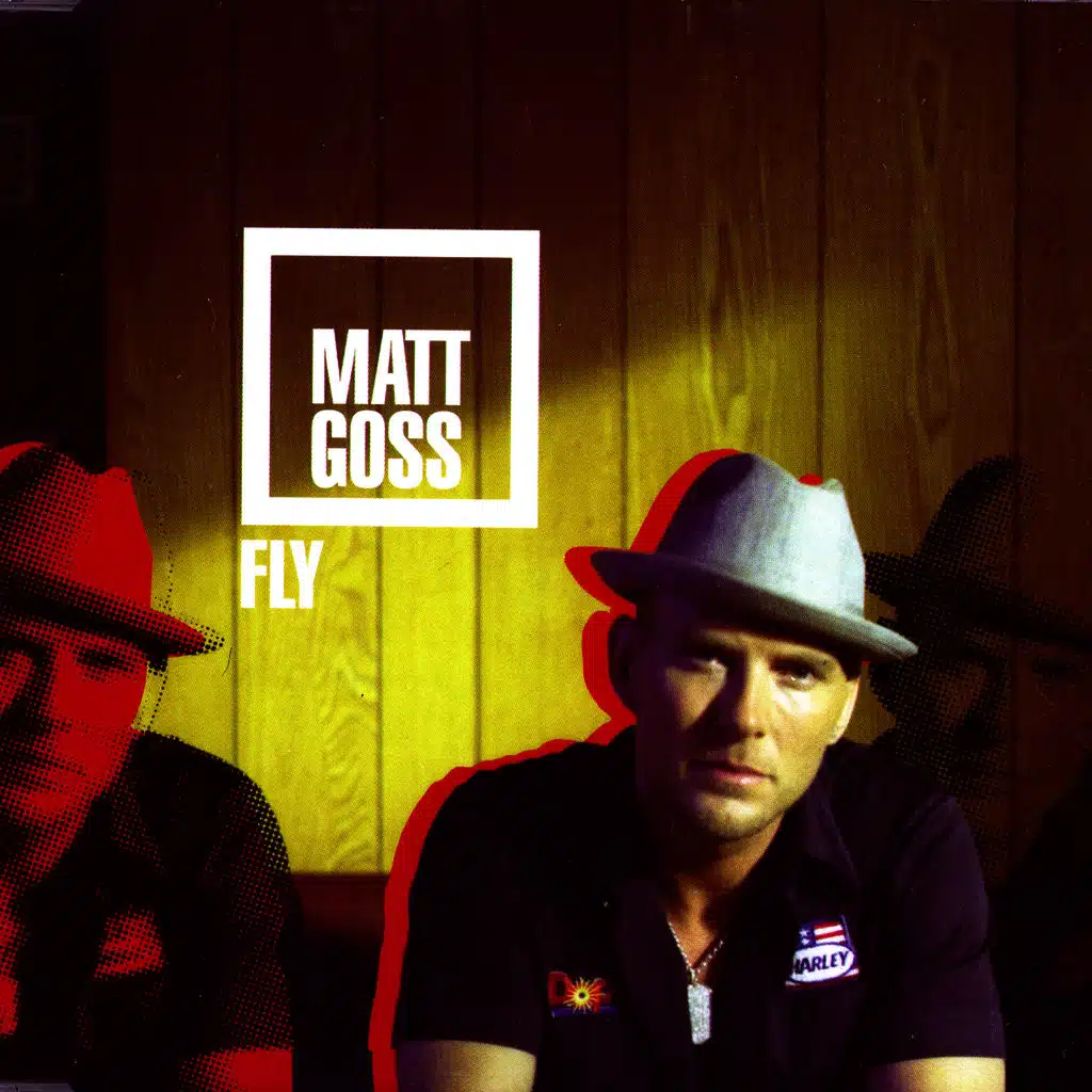 Fly (Ruff House Remix)