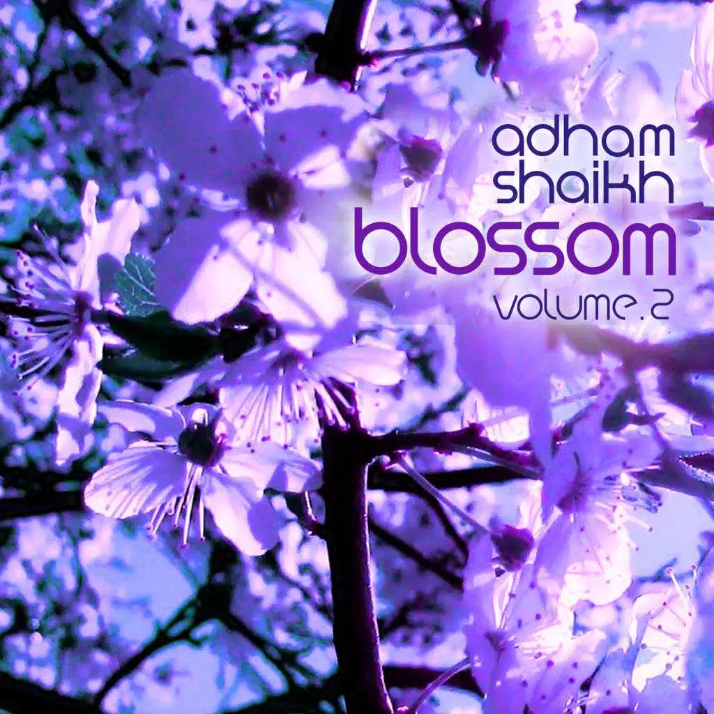Music for Cherry Blossoms, Vol. 2