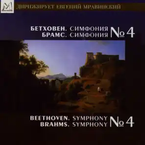 Symphony No. 4 In B Flat Major, Op. 60: Adagio