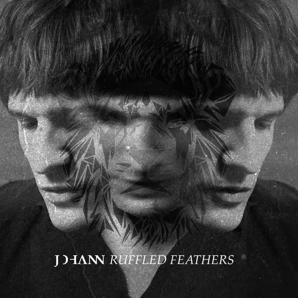 Ruffled Feathers