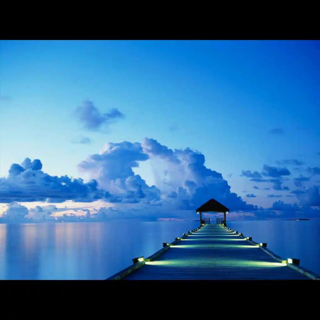 Bob Riley & The Fishers