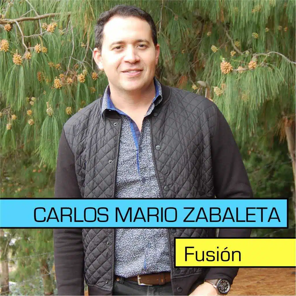 Fusión