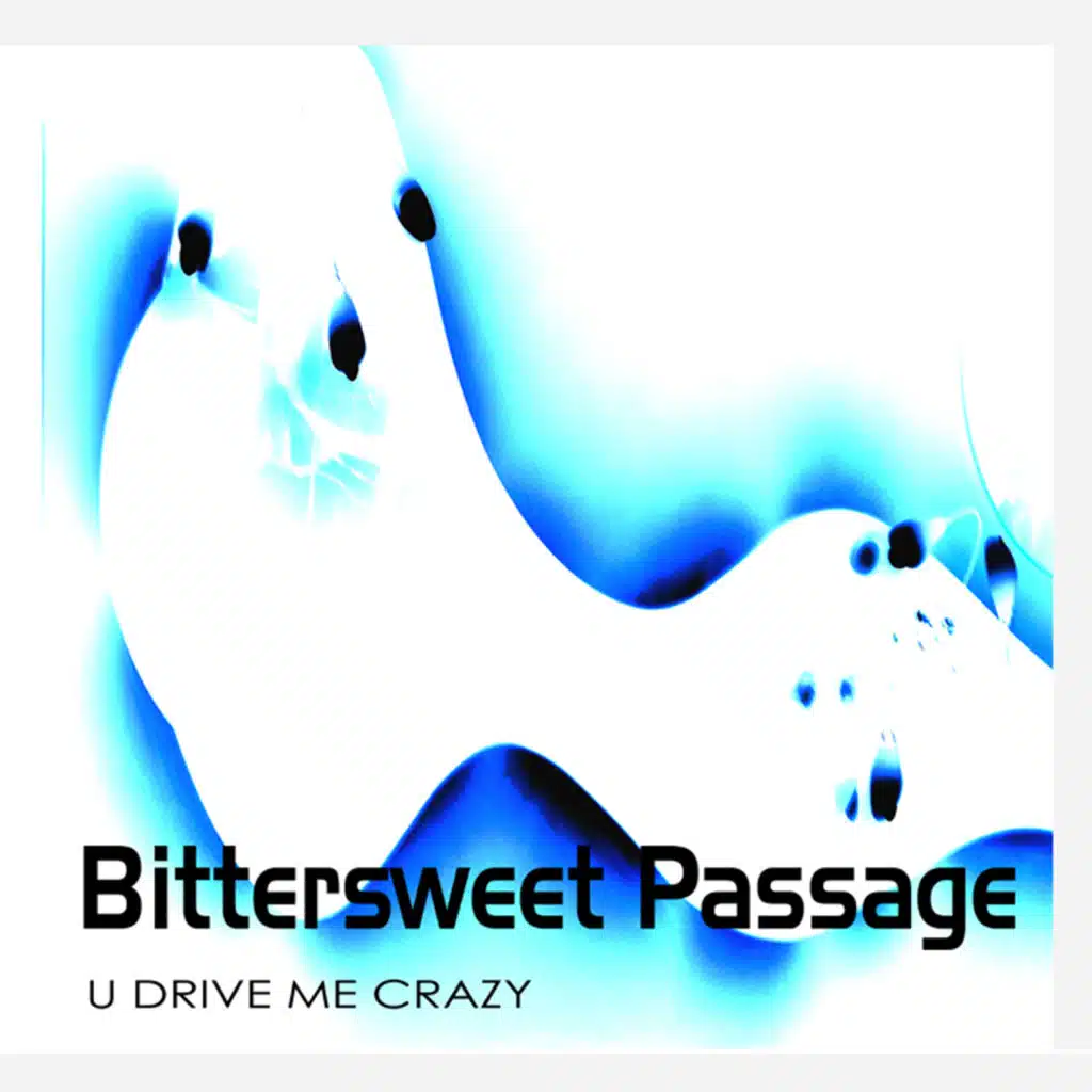 U Drive Me Crazy (Haiiro Extended Mix)