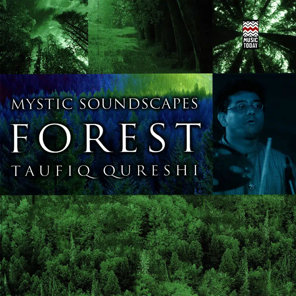 Mystic Soundscapes: Forest