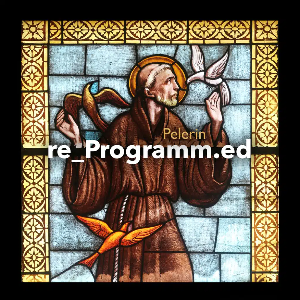 Re_Programm.ed