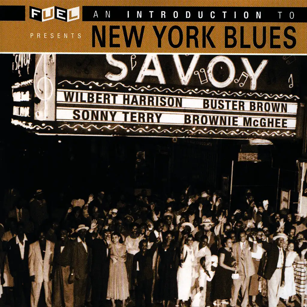 An Introduction To New York Blues