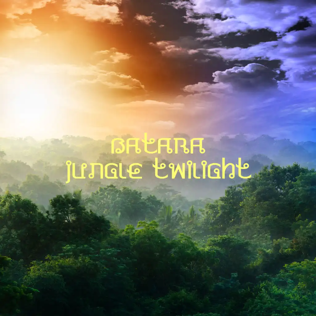 Jungle Twilight