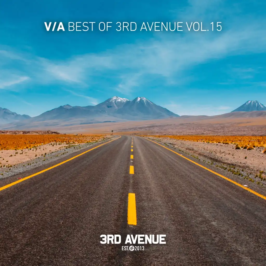 Best of 3rd Avenue, Vol. 15 (feat. Christian Monique)