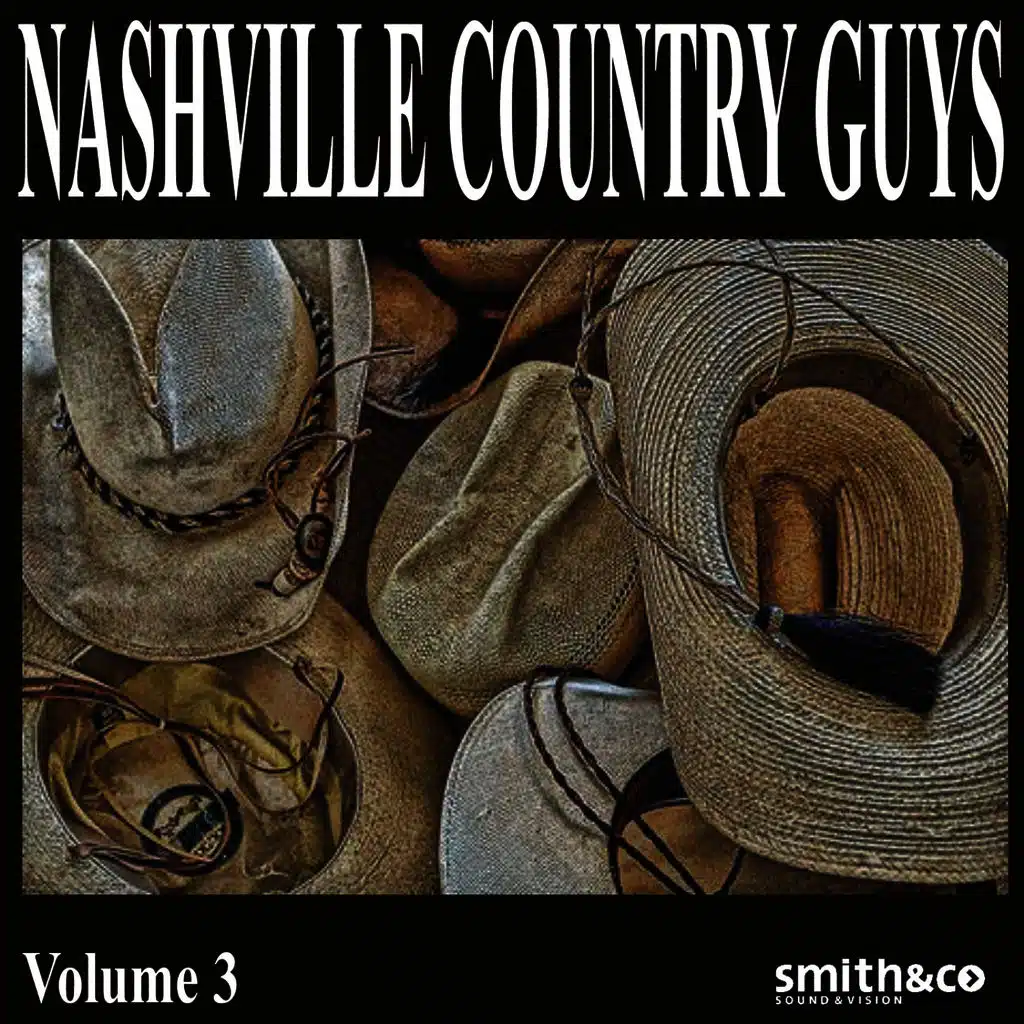 Nashville Country Guys, Volume 3