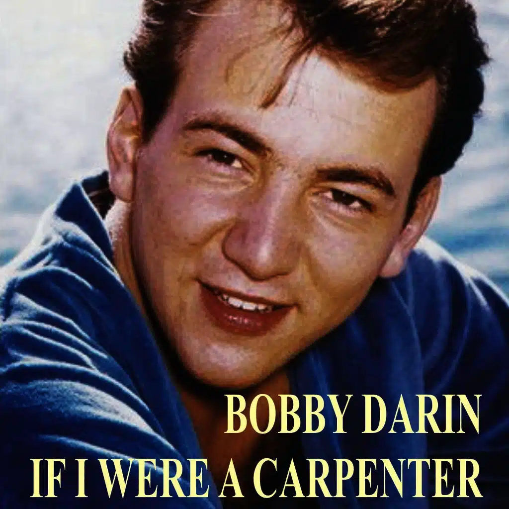 If I Were a Carpenter