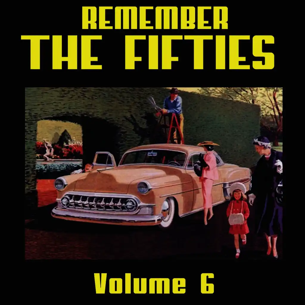 Remember the 50's, Volume 6