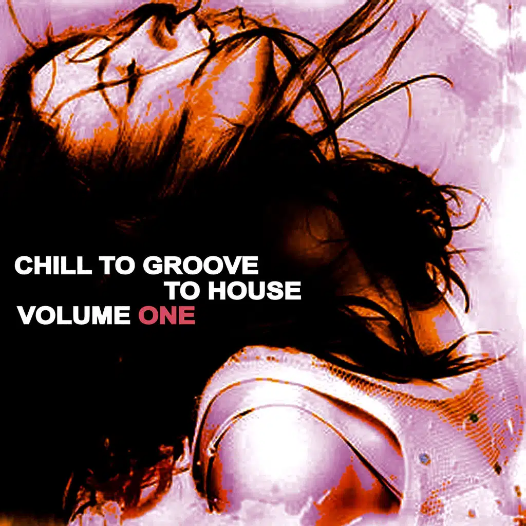 Chill to Groove to House, Vol. 1