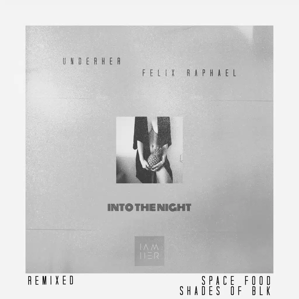 Into the Night (Space Food Remix)