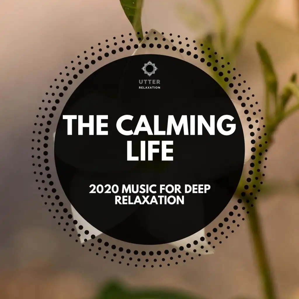 The Calming Life: 2020 Music for Deep Relaxation