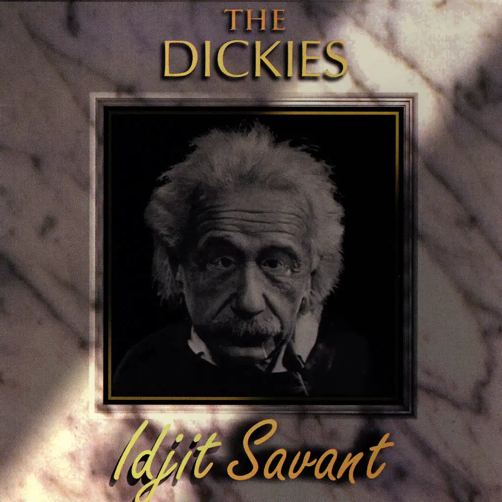 Idjit Savant