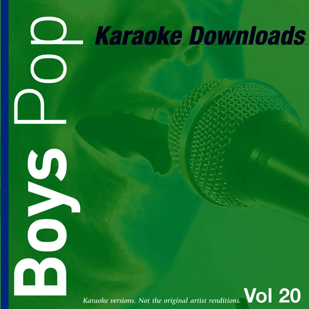 Karaoke Downloads - Boys Pop Vol.20