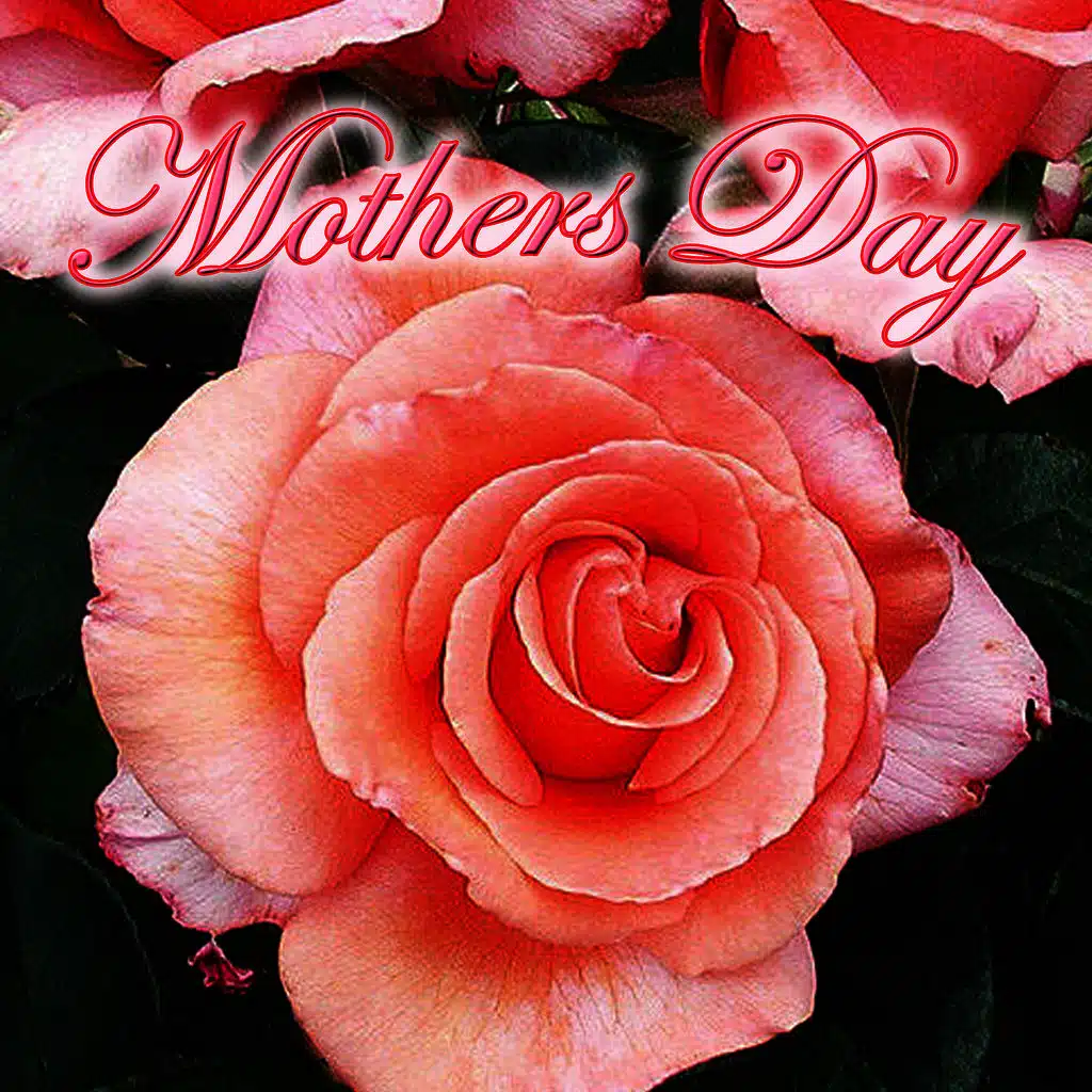 Jay Otis & The Weaver Band