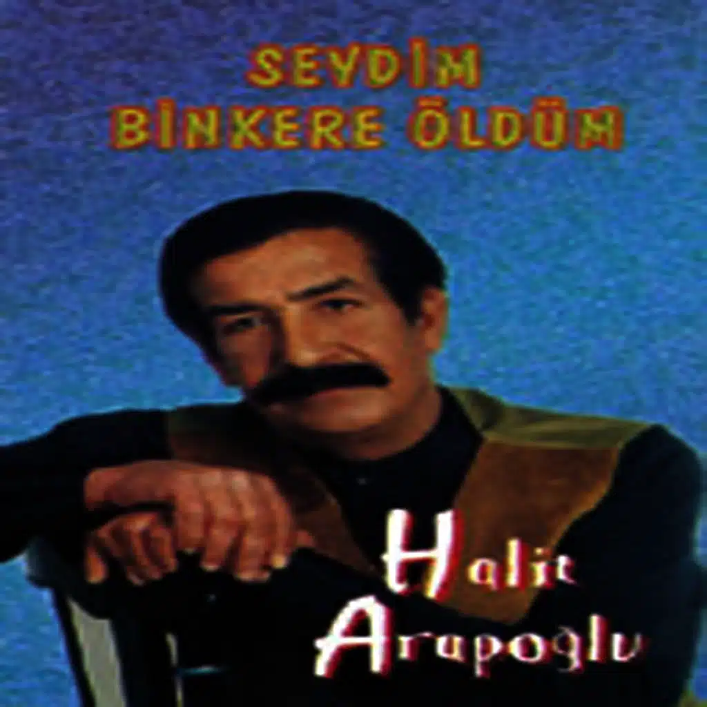 Sevdim Bin Kere Öldüm