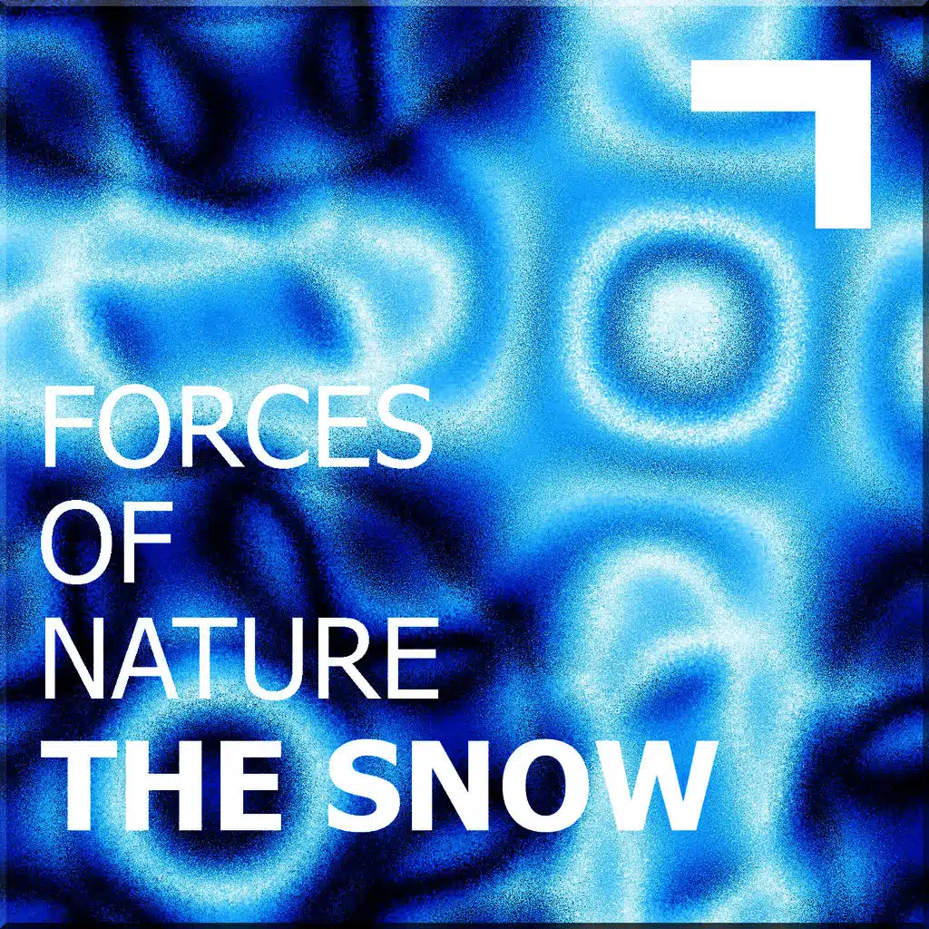 Forces of nature – the snow