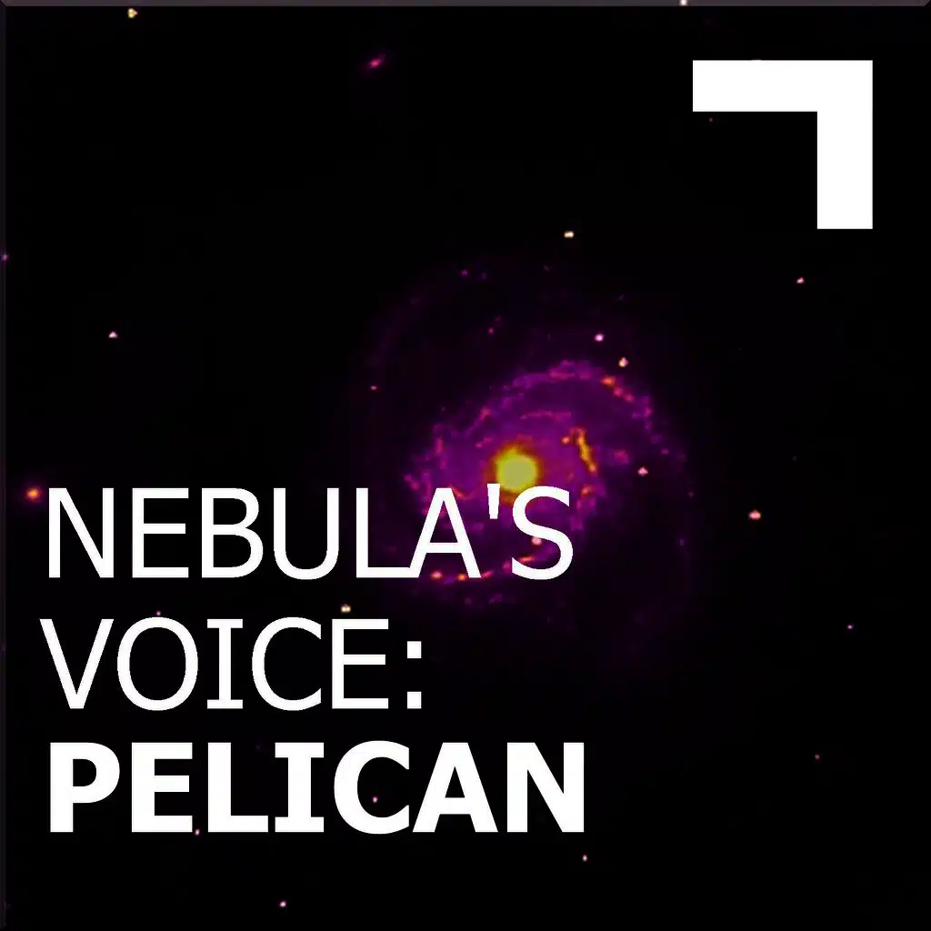 Nebula's Voice: Pelican