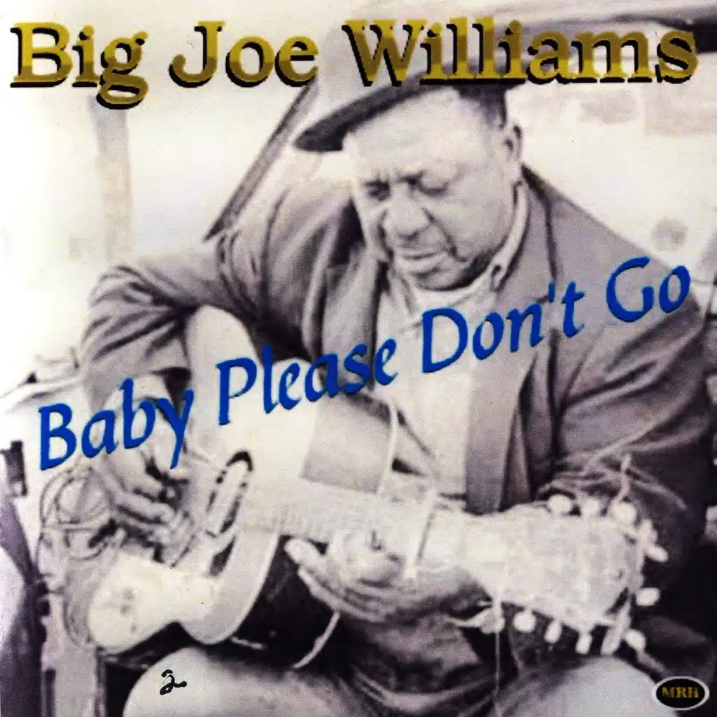 Baby Please Don't Go