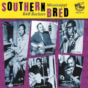 Southern Bred: Mississippi R&b Rockers Vol. 1