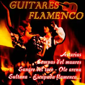 Guitares Flamenco