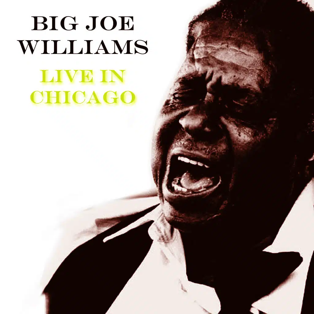 Ride In My New Car Blues