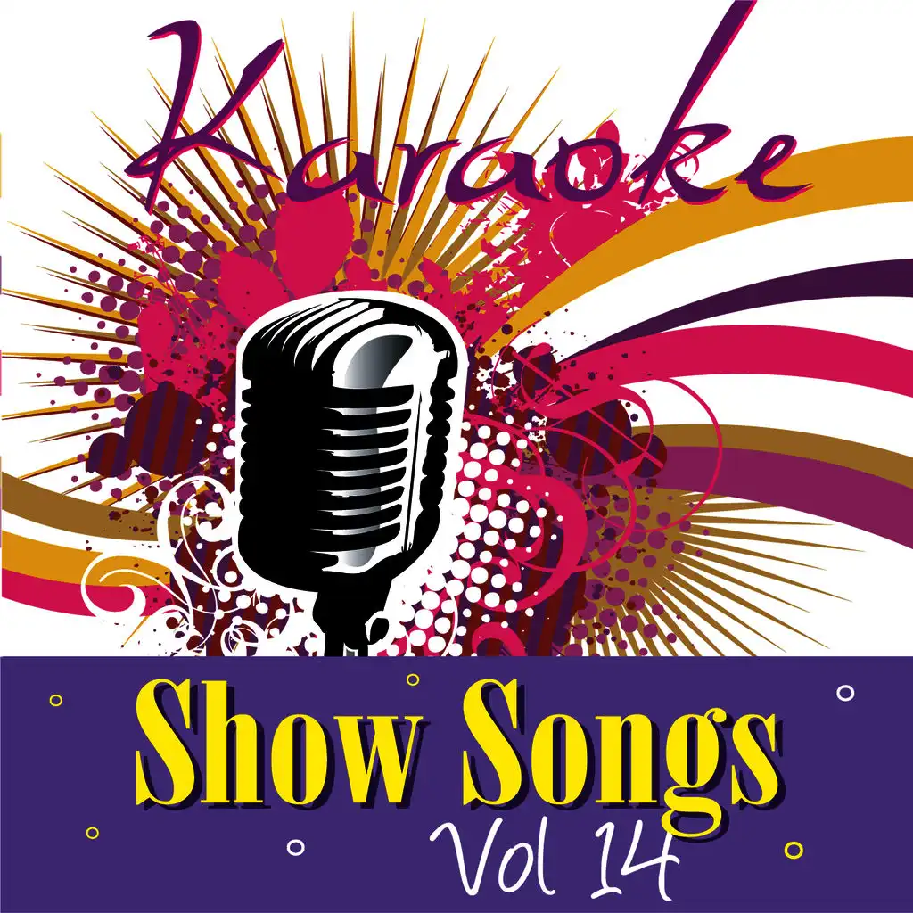 Karaoke - Show Songs Vol.14