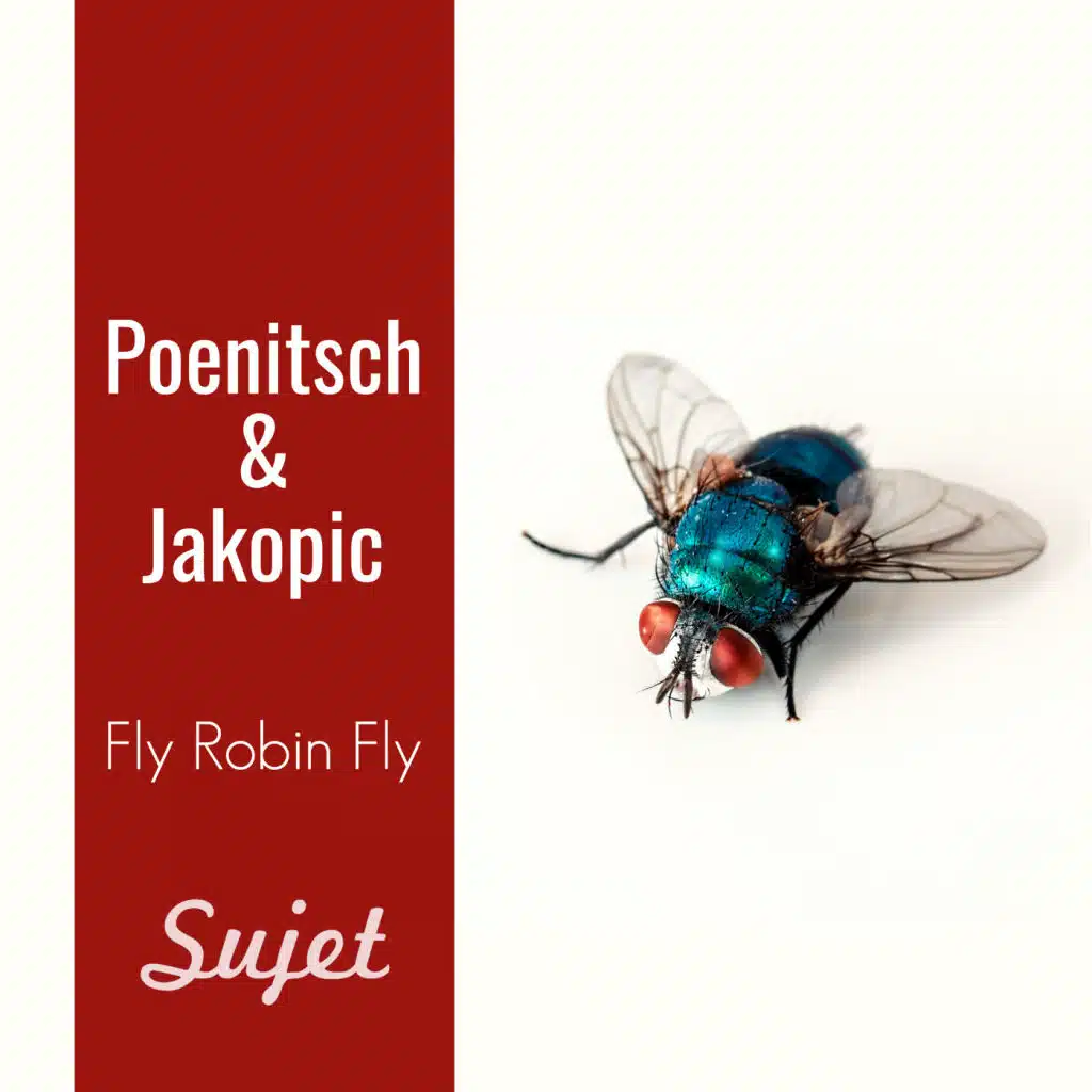 Fly Robin Fly