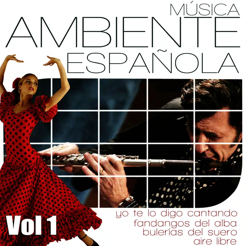 Musica Ambiente Española. Flauta, Guitarra y Compas Flamenco. Vol 4