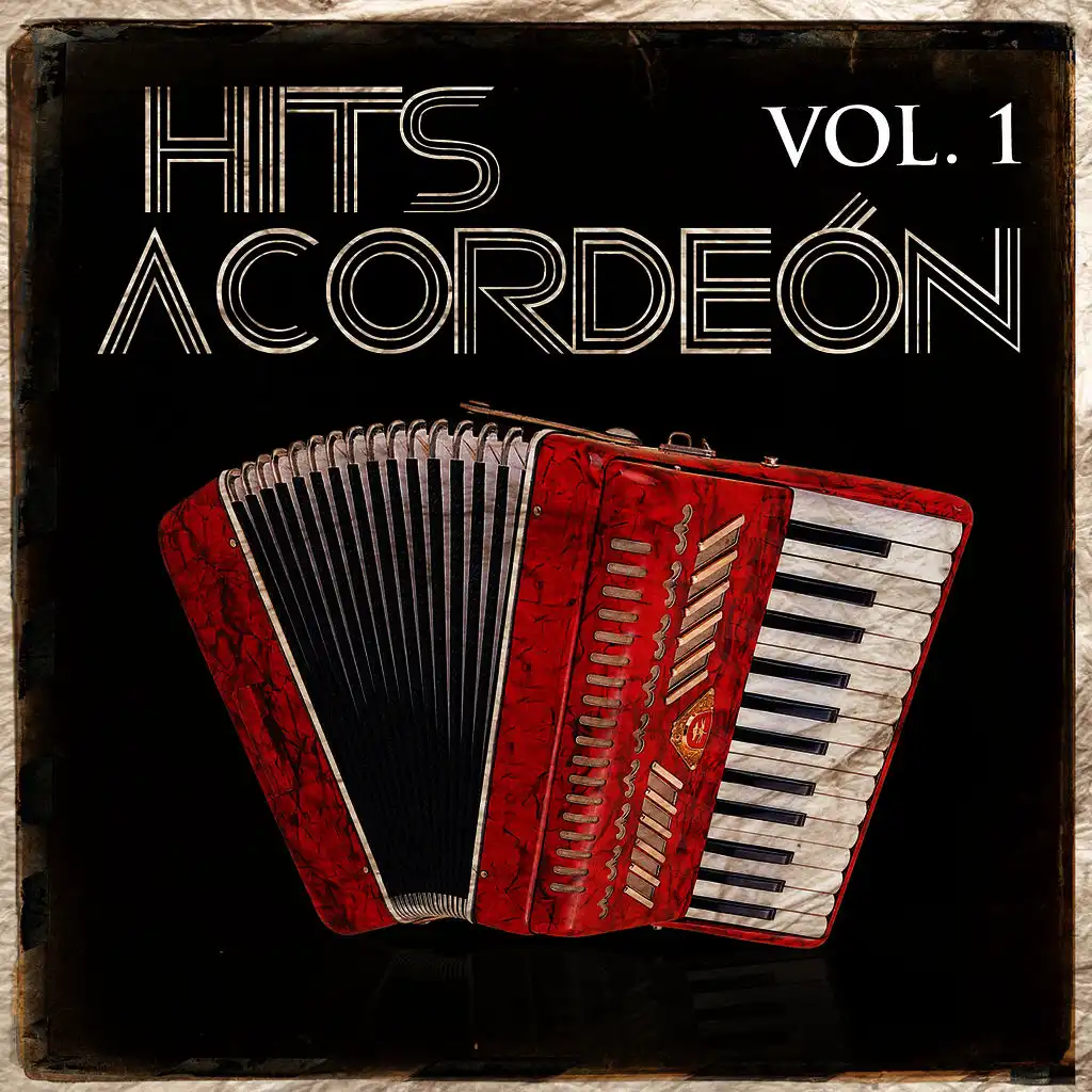 Hits in Acordeón. Vol. 1