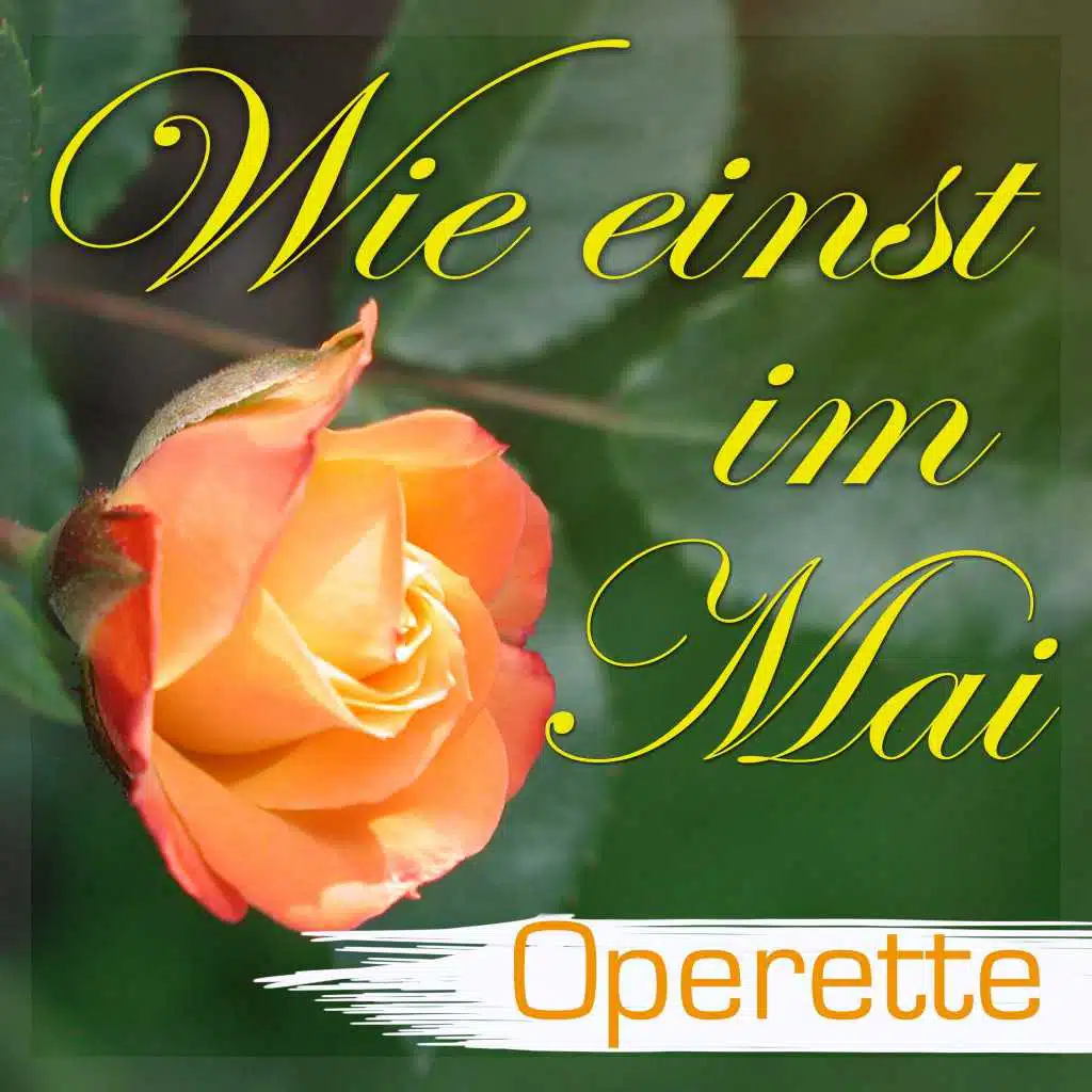 Heißgeliebtes Firlefänzchen (Duett und Gavotte)