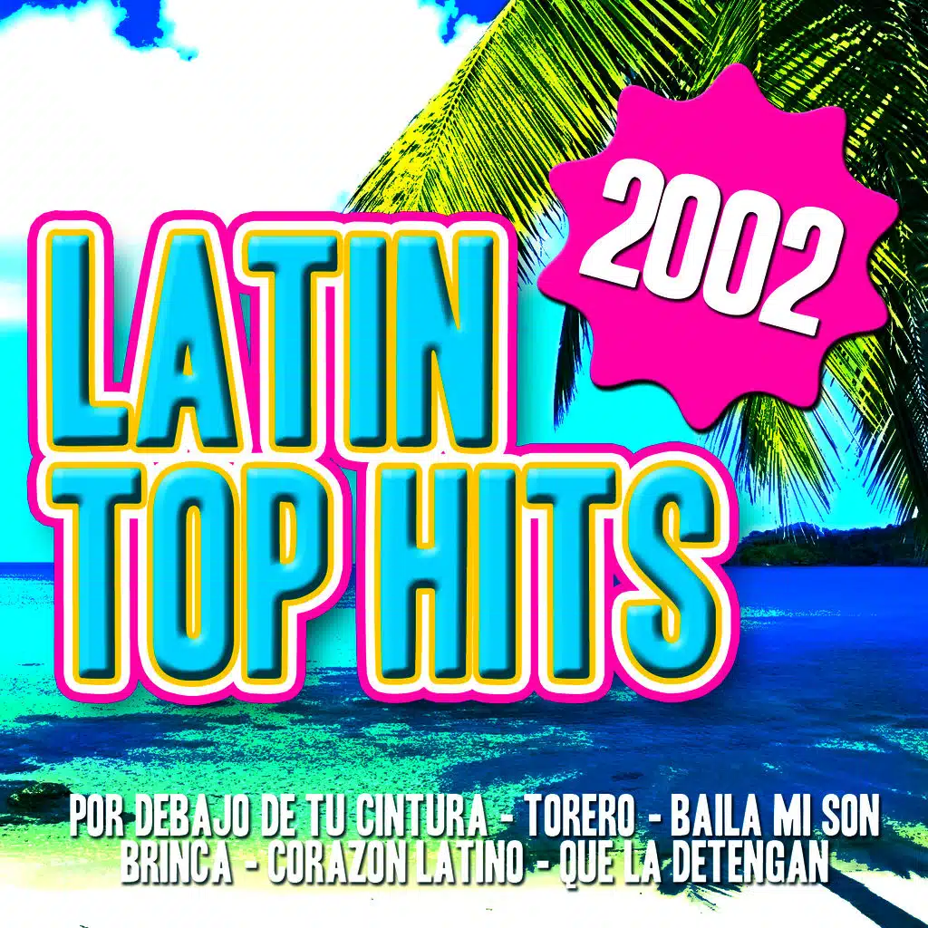 Latin Top Hits 2002