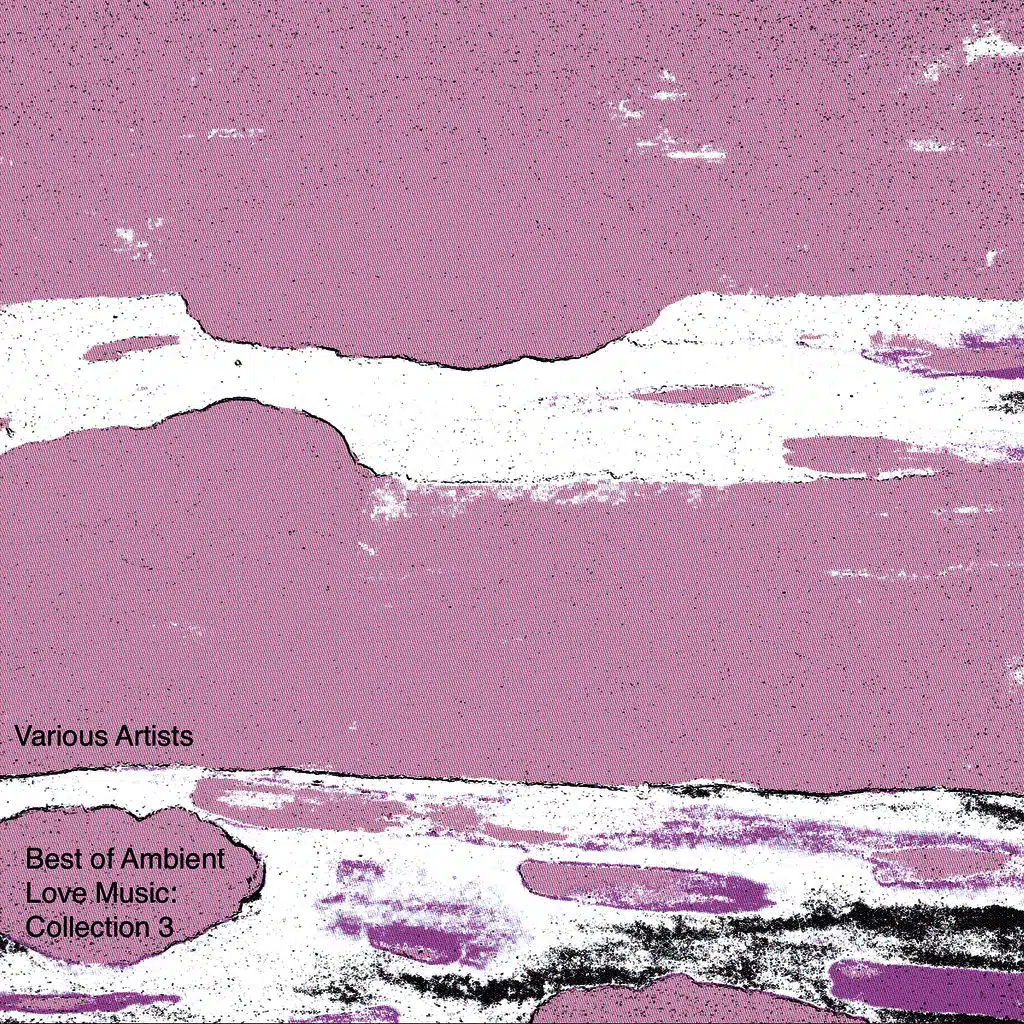 Michele Forte & Navigator