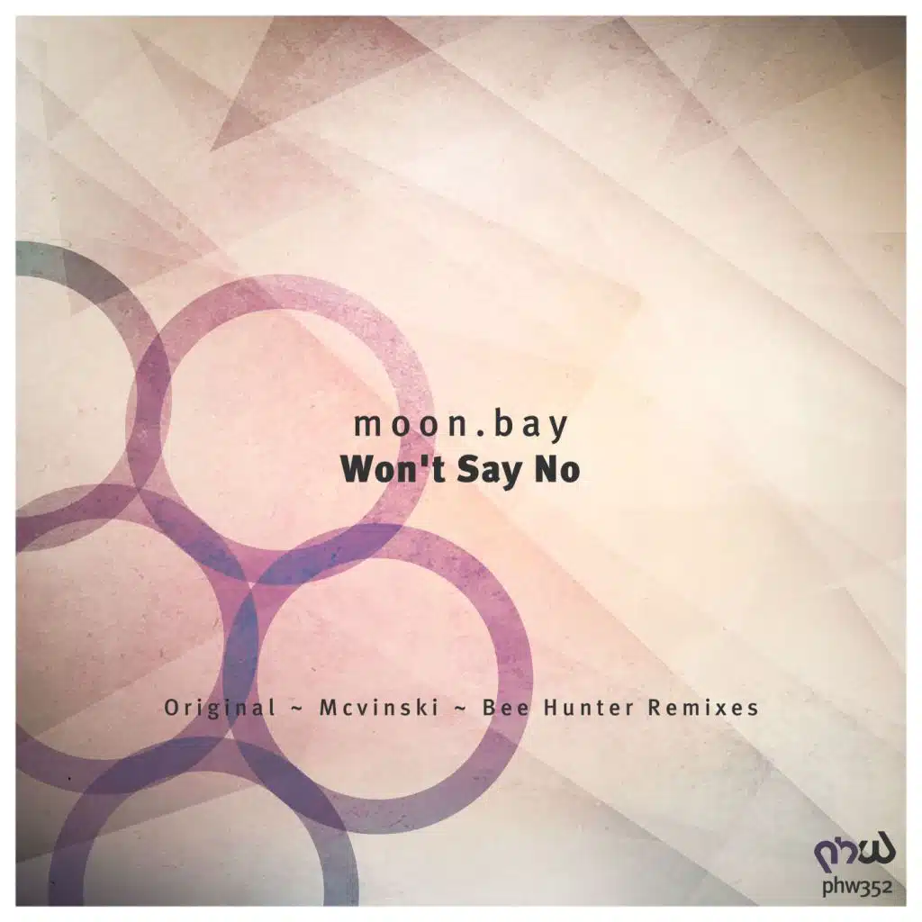 Won't Say No (feat. Bee Hunter & Mcvinski)