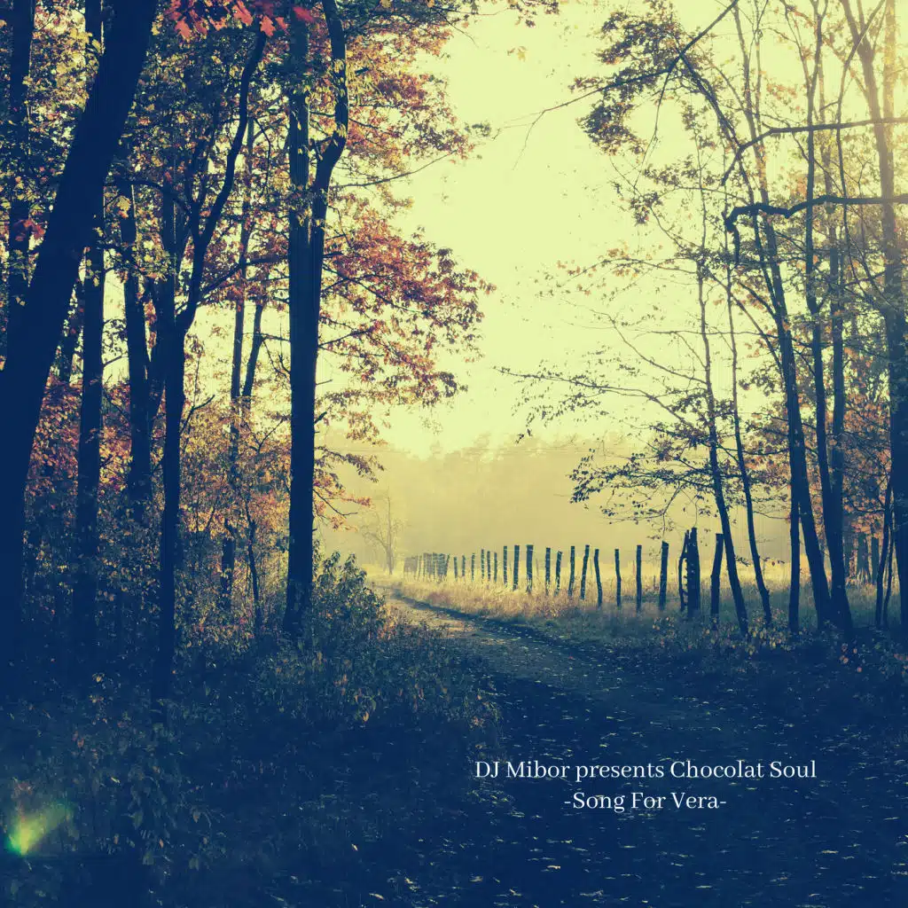 DJ Mibor & Chocolat Soul