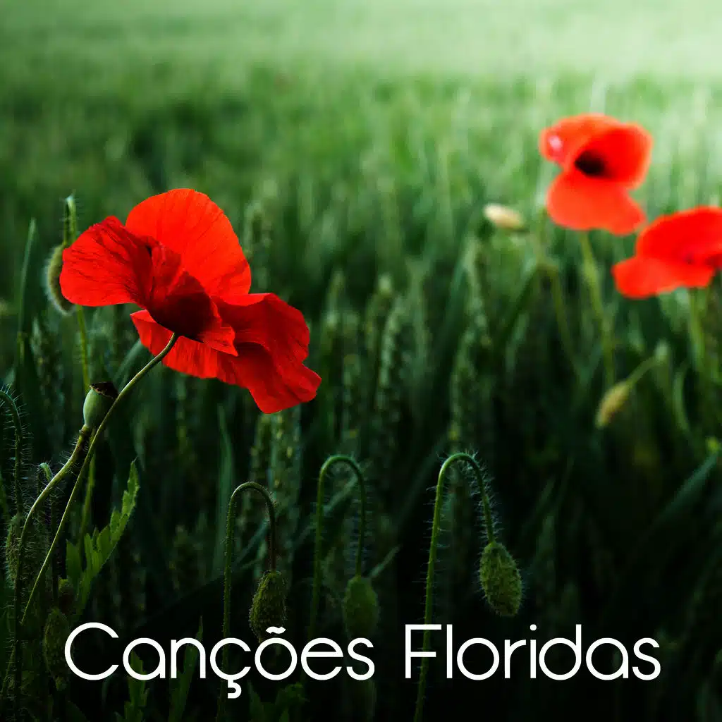 Canções Floridas