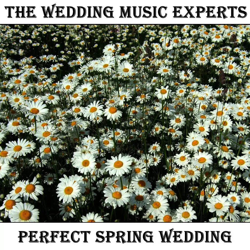 The Wedding Music Experts: Perfect Spring Wedding