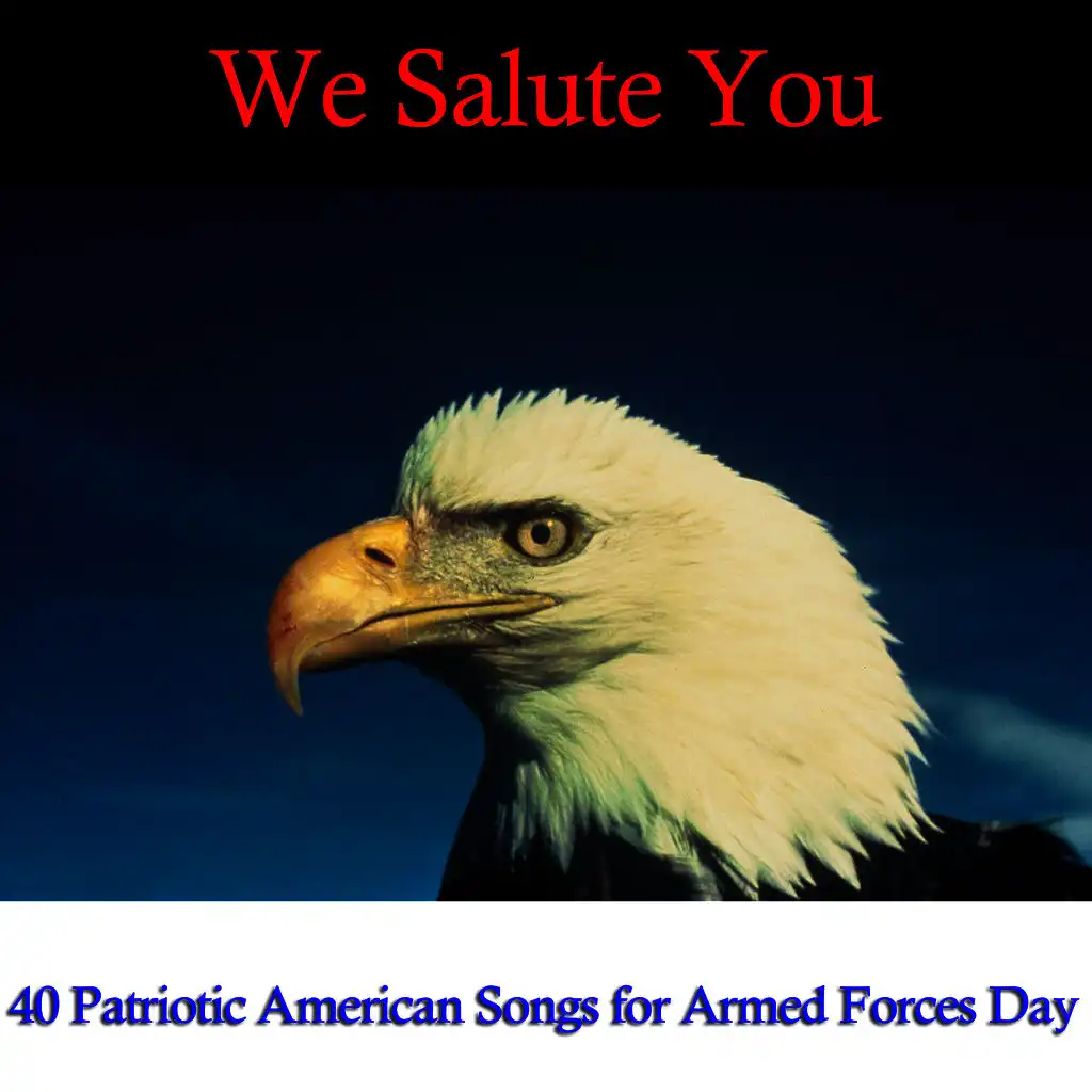 We Salute You: 40 Patriotic American Songs for Armed Forces Day