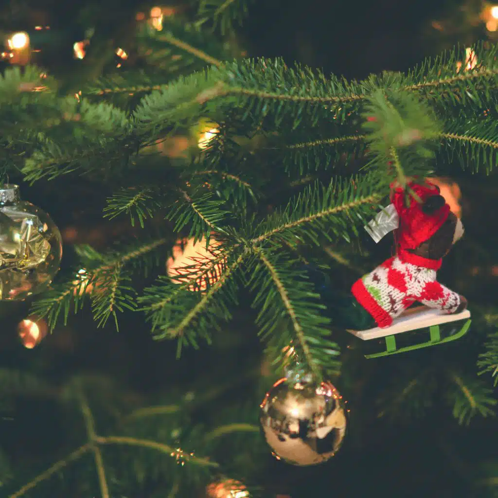 We Wish You a Merry Christmas