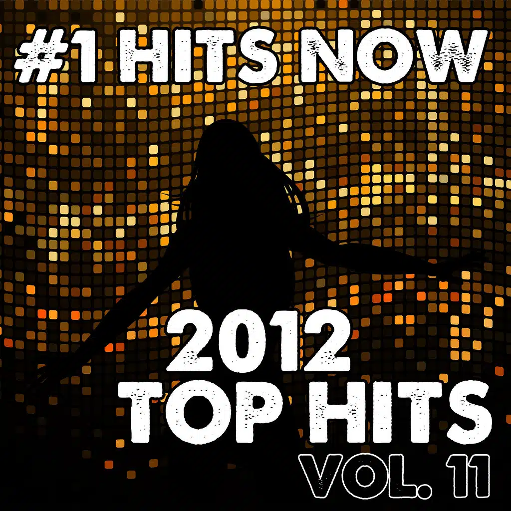 2012 Top Hits, Vol. 11