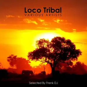 Loco Tribal (Selected By Frenk DJ)