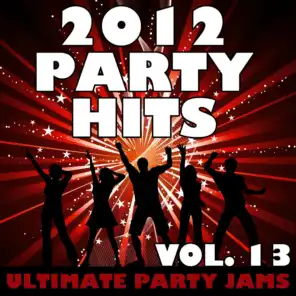 2012 Party Hits, Vol. 13
