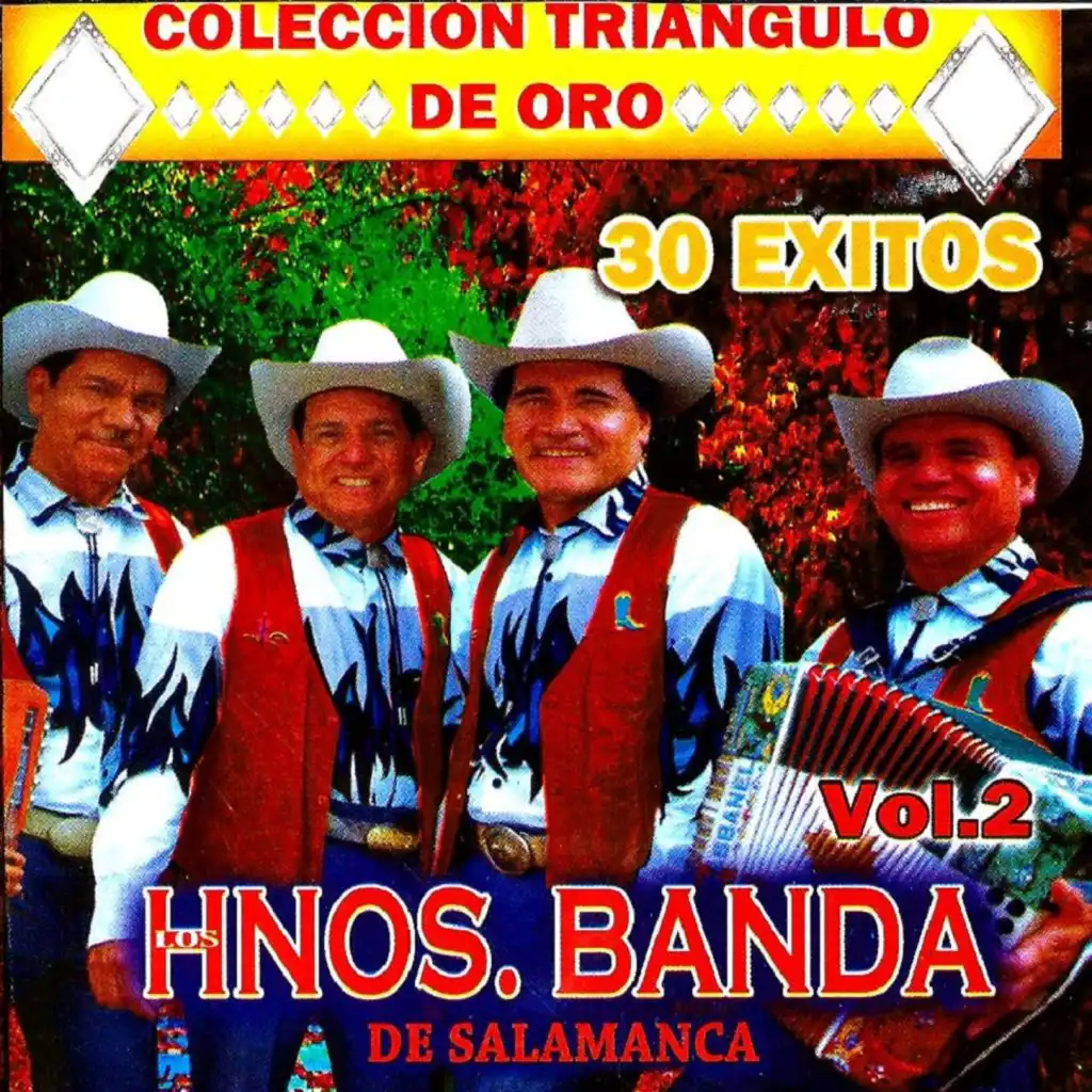 30 Exitos Vol.2