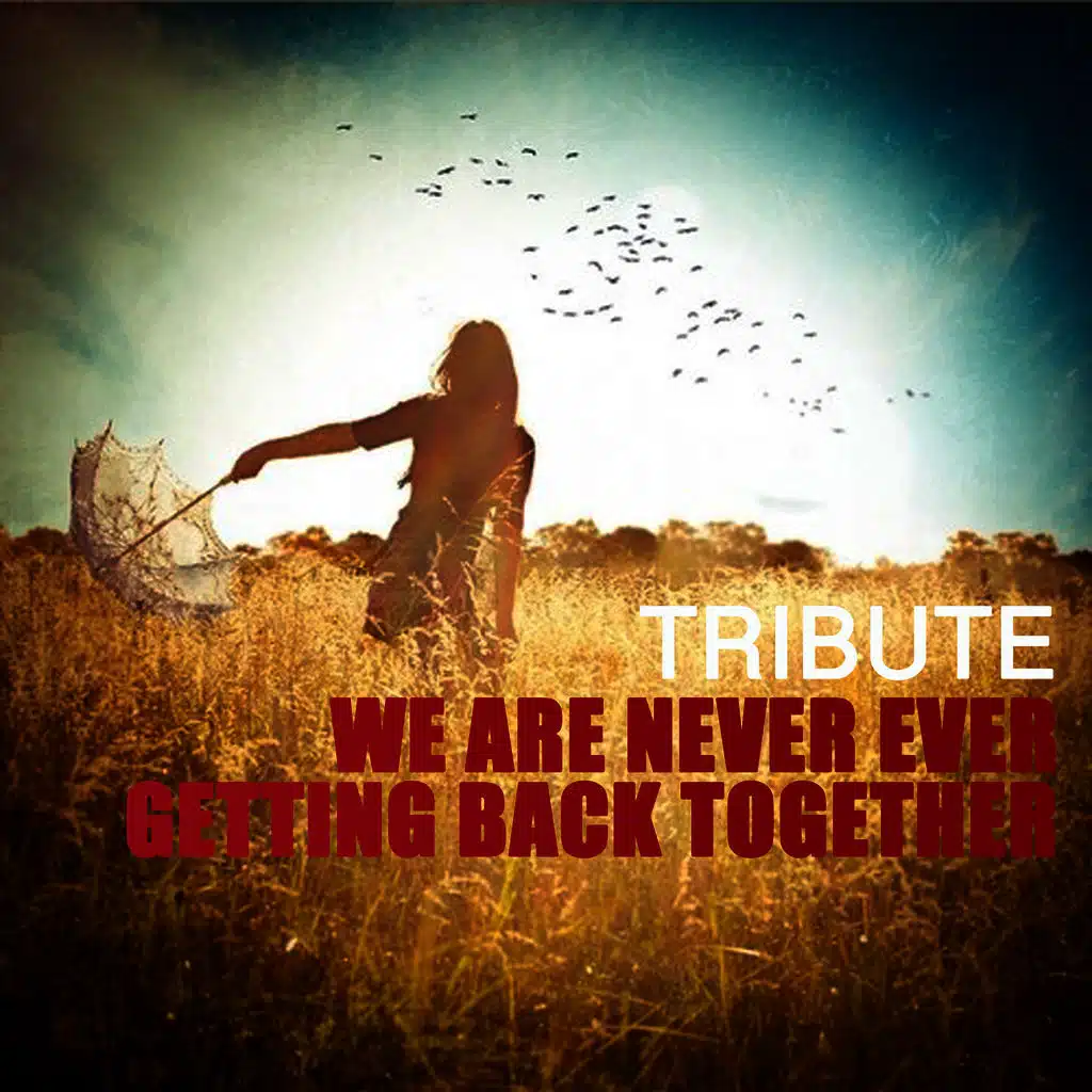 We Are Never Ever Getting Back Together (Taylor Swift Tribute)